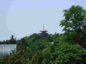 牧野植物園か竹林寺の塔を望む