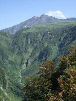 鳥海山の山肌