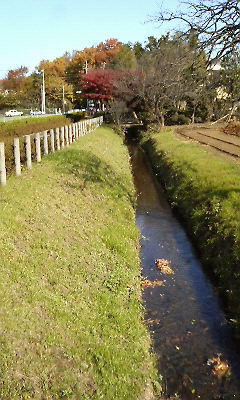野火止用水路