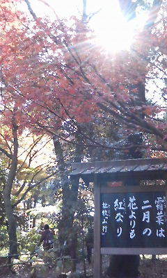 霜葉の句碑