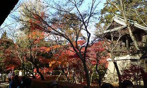 平林寺の境内
