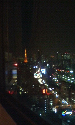 ホテルバシフィック２９Ｆからの夜景