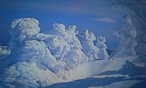 蔵王の樹氷