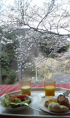 伊東市赤沢のホテルでの朝食と桜