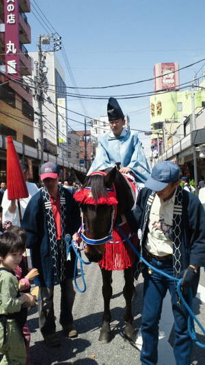 神輿を先導する神馬