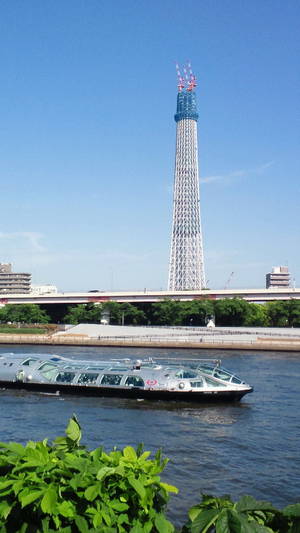 東京スカイツリーと隅田川の遊覧船