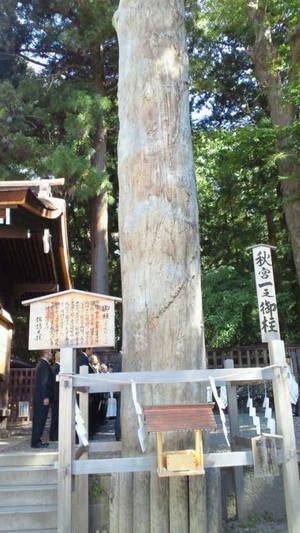 オンバシラ