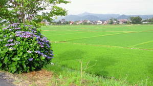 伯太川土手から京羅木山を望む