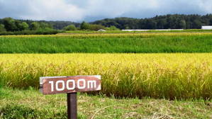 標高１０００Mの標識