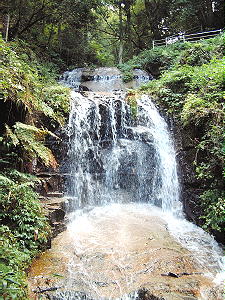 平成の名水「鷹入の滝」