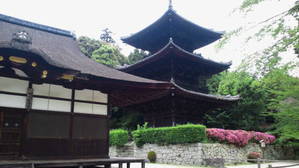 三井寺の塔