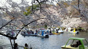 井の頭公園