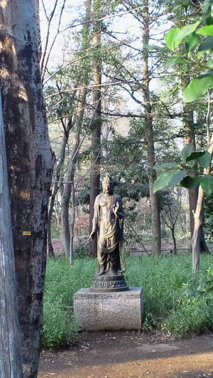 自然文化園内の彫刻