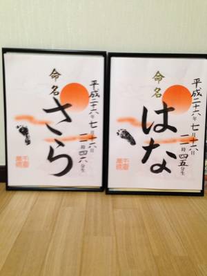 名前が決まった「はなとさら」