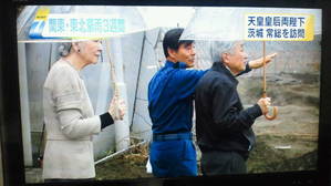 被災地をご案内する高杉さん