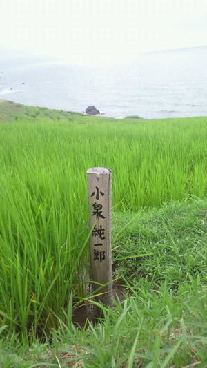 小泉元首相の看板