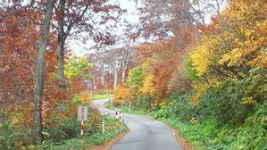 月山の紅葉