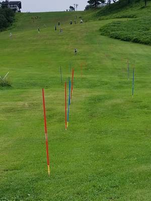 グラススキーのポール