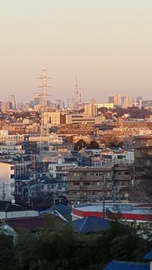 久末からのスカイツリーと東京タワー