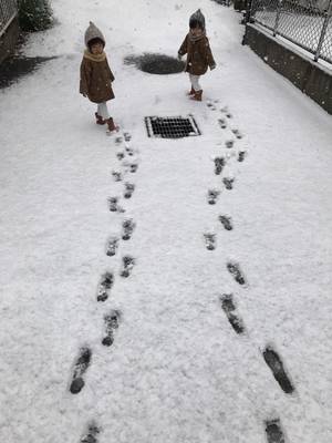 雪の中の双子