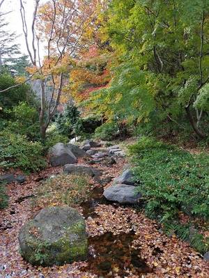 公園の小川
