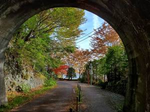 トンネル