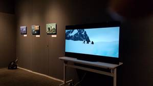 南極展