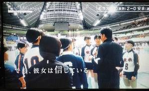 安高バレー